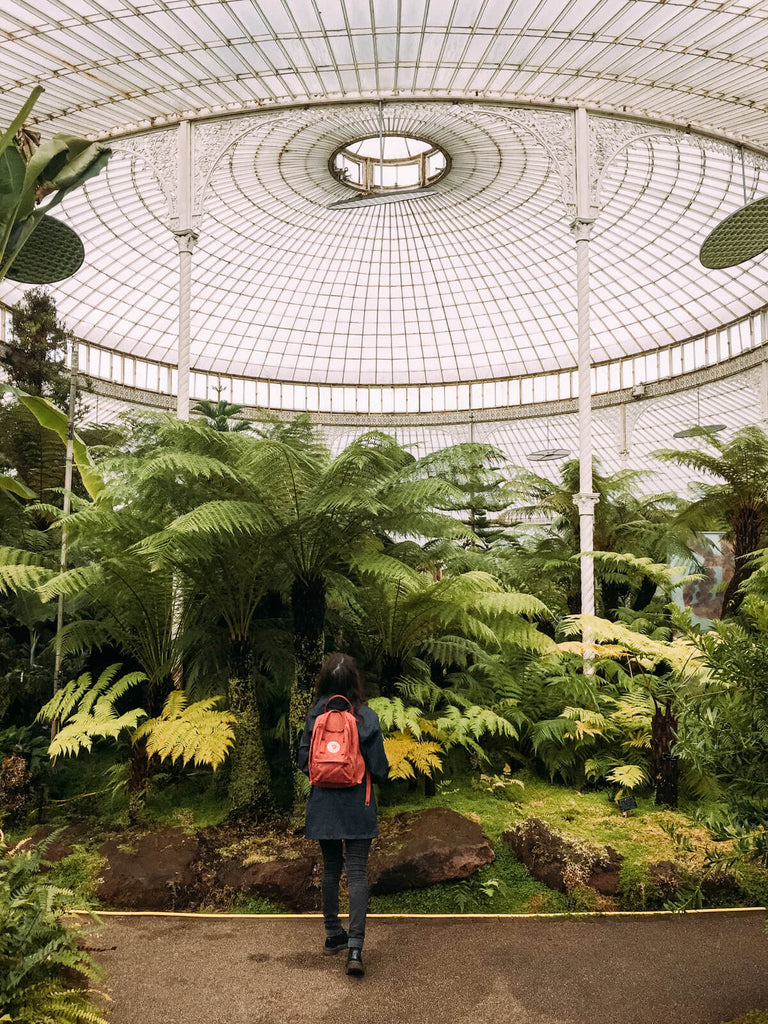 Grand Angle Pro + iPhone 6s - Jardin botanique de Glasgow -Black & Wood