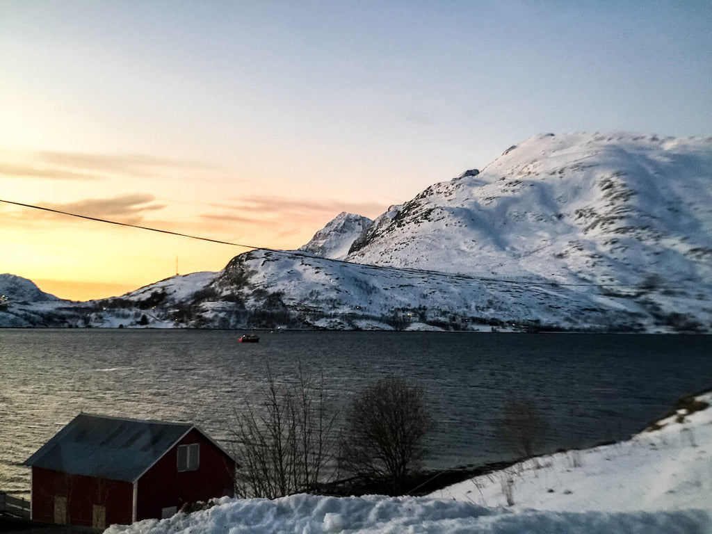 53 - Grand Angle Pro - Kinging It - Tromso