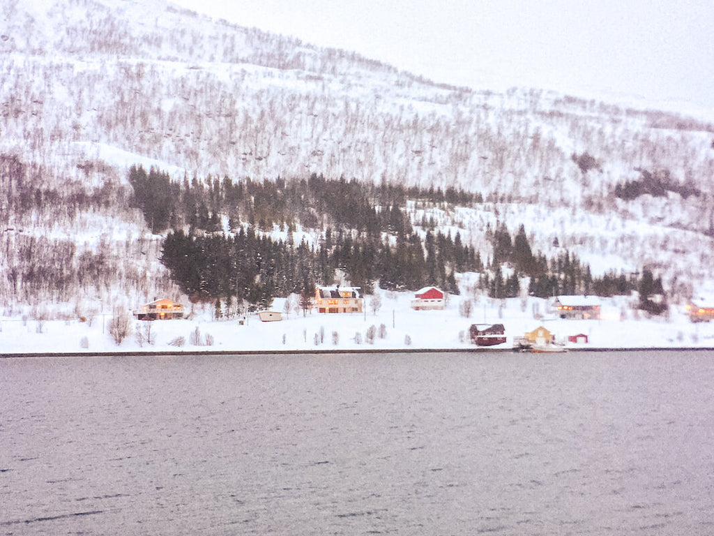 6 - Telephoto - Kinging It - Tromso