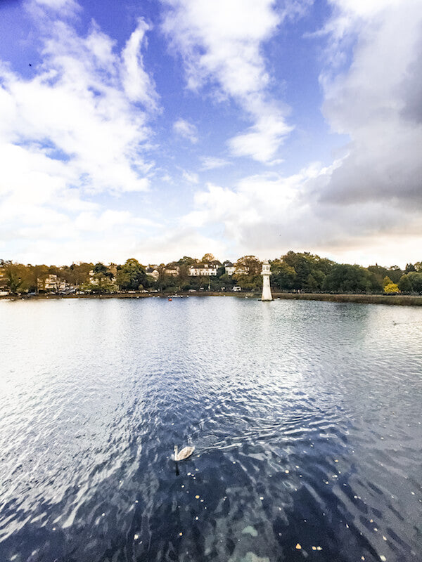 Wide Angle Pro - Kinging It - Cardiff