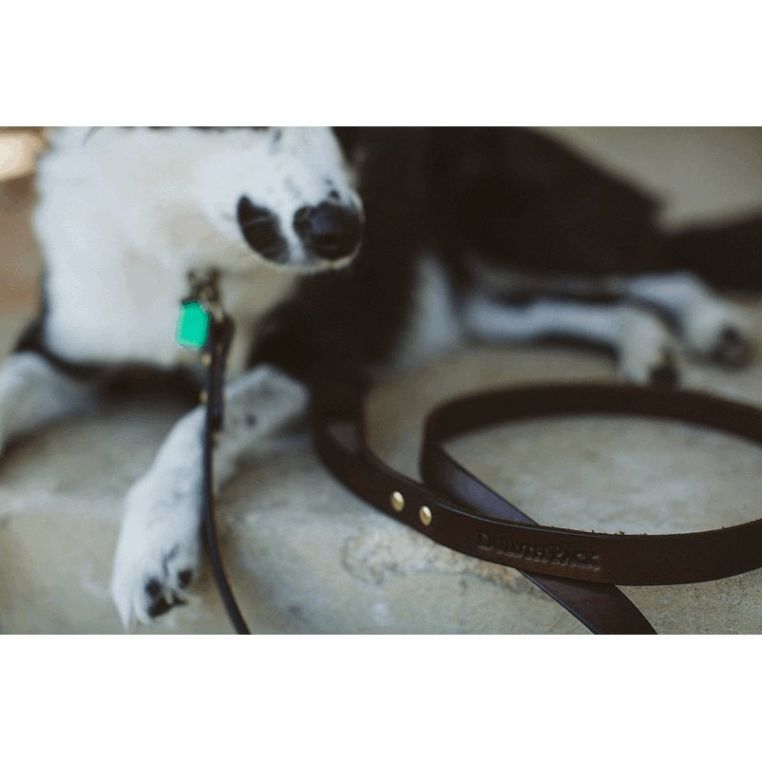 Duluth Pack Leather Dog Leash