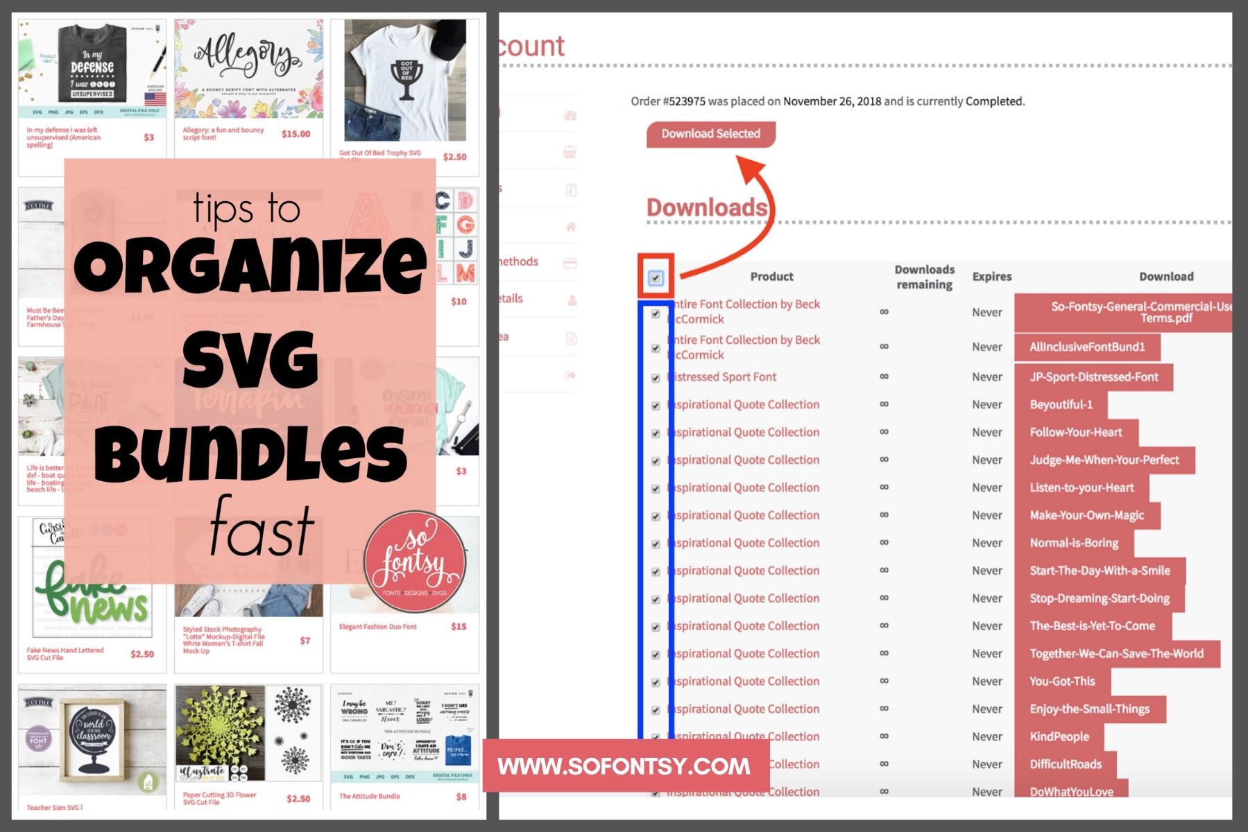 Download How To Organize Svg Design Bundles In 3 Steps So Fontsy