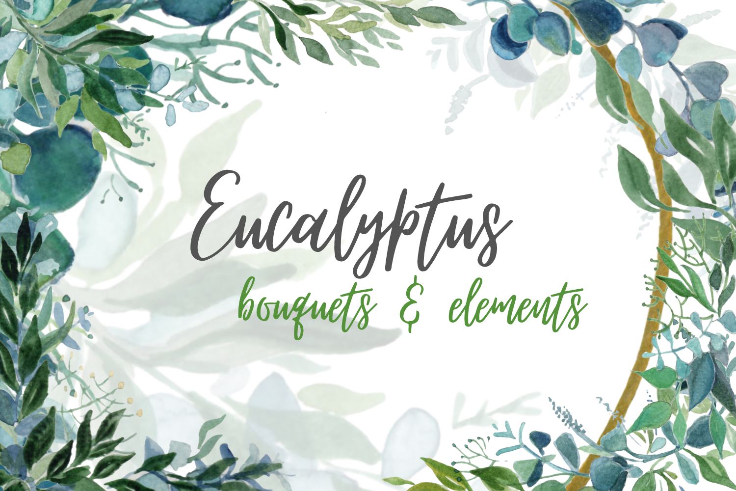 Download 14 Eucalyptus Watercolor Designs So Fontsy