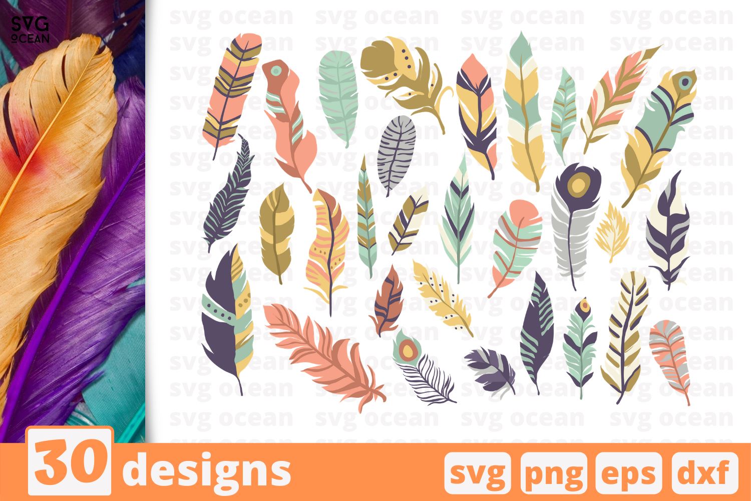 Download 30 Feathers Designs Cricut Svg So Fontsy