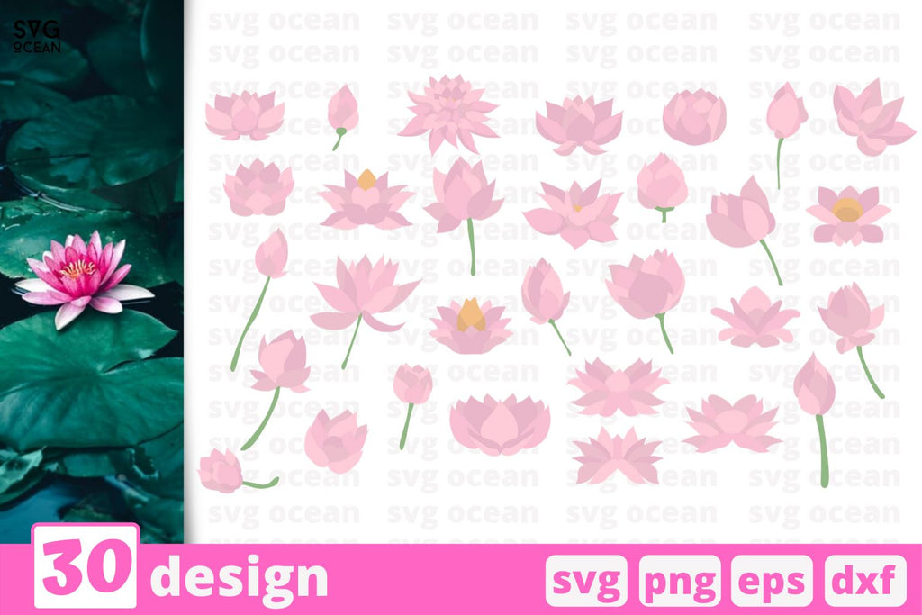 Download Products Tagged Lotus Flower So Fontsy