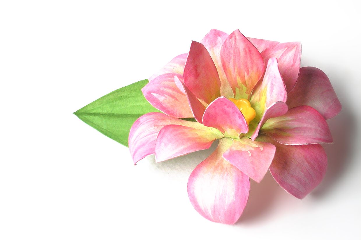 Download 3d Lotus Flower So Fontsy