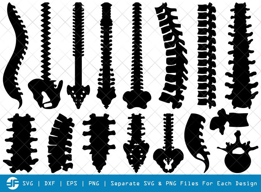 Download Anatomy Spine Svg Cut Files Human Spine Silhouette So Fontsy