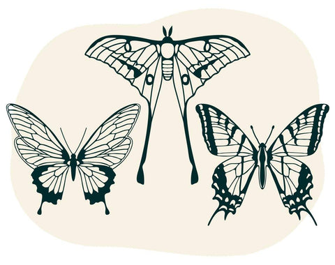 Free Free 331 Silhouette Monarch Butterfly Svg SVG PNG EPS DXF File