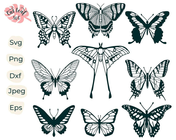 Tạo ra một loại hình bướm độc đáo với gói SVG bướm độc đáo này. Bao gồm nhiều mẫu trang trí bộ sưu tập bướm, sẽ giúp bạn nhận ra len lỏi của nghệ thuật trang trí và cho phép sáng tạo nhiều hơn.