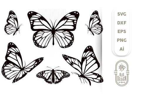 Butterfly Svg Bundle 5 Monarch Butterflies Svg Cut Files So Fontsy