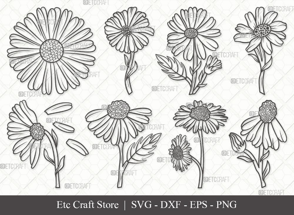 Download Daisy Flower Outline Svg Cut Files Daisy Flower Clipart Bundle Daisy Flower Outline Vector Cutting Files Floral Svg Eps Dxf Png So Fontsy