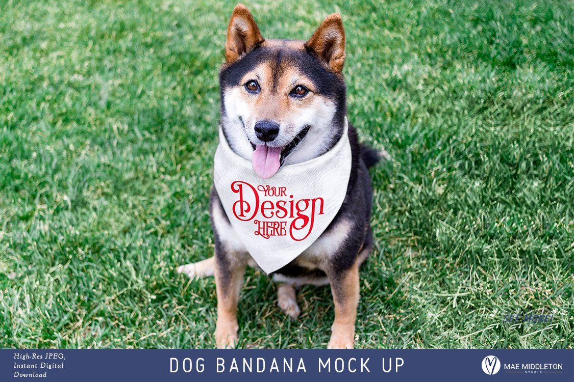 Download Dog Bandana Mock Up Styled Photo Copy So Fontsy