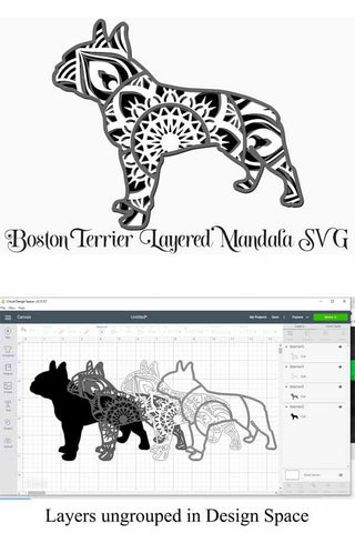 Download Dog Mandala Svg Layered Mandala Bundle Vol 2 5 Dog Breeds Poodle Pitbull Chihuahua Boston Terrier Chow Chow So Fontsy