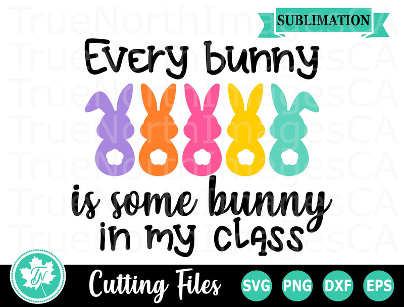 Easter SVG | Teacher SVG | Every Bunny in my Class - So Fontsy