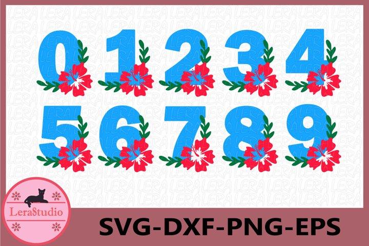 Download Floral Numbers Svg So Fontsy