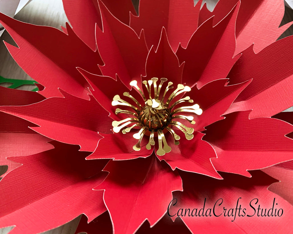 Giant Poinsettia Paper Flower Template 2 So Fontsy