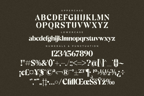 Gratina Typeface - So Fontsy