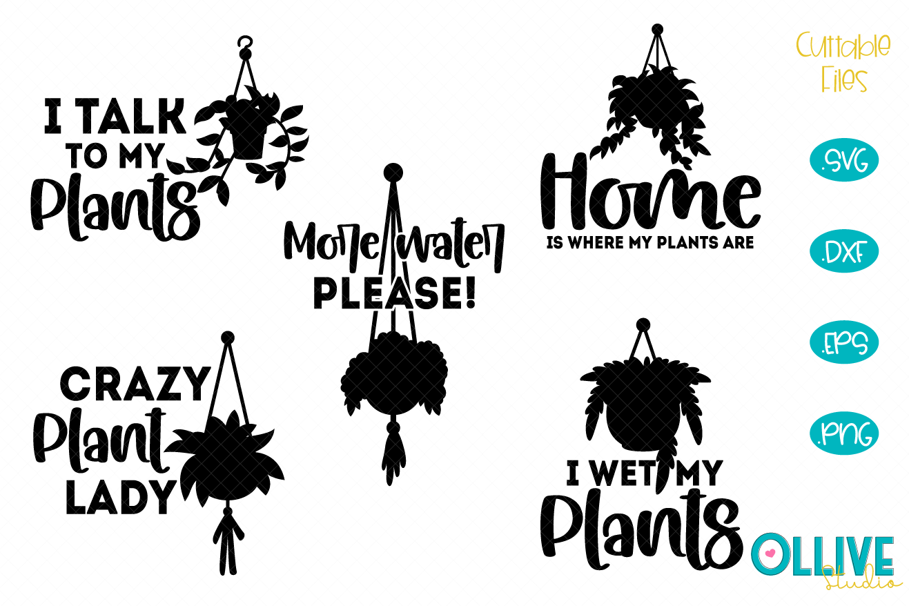 Download Hanging Plants Svg Quotes So Fontsy