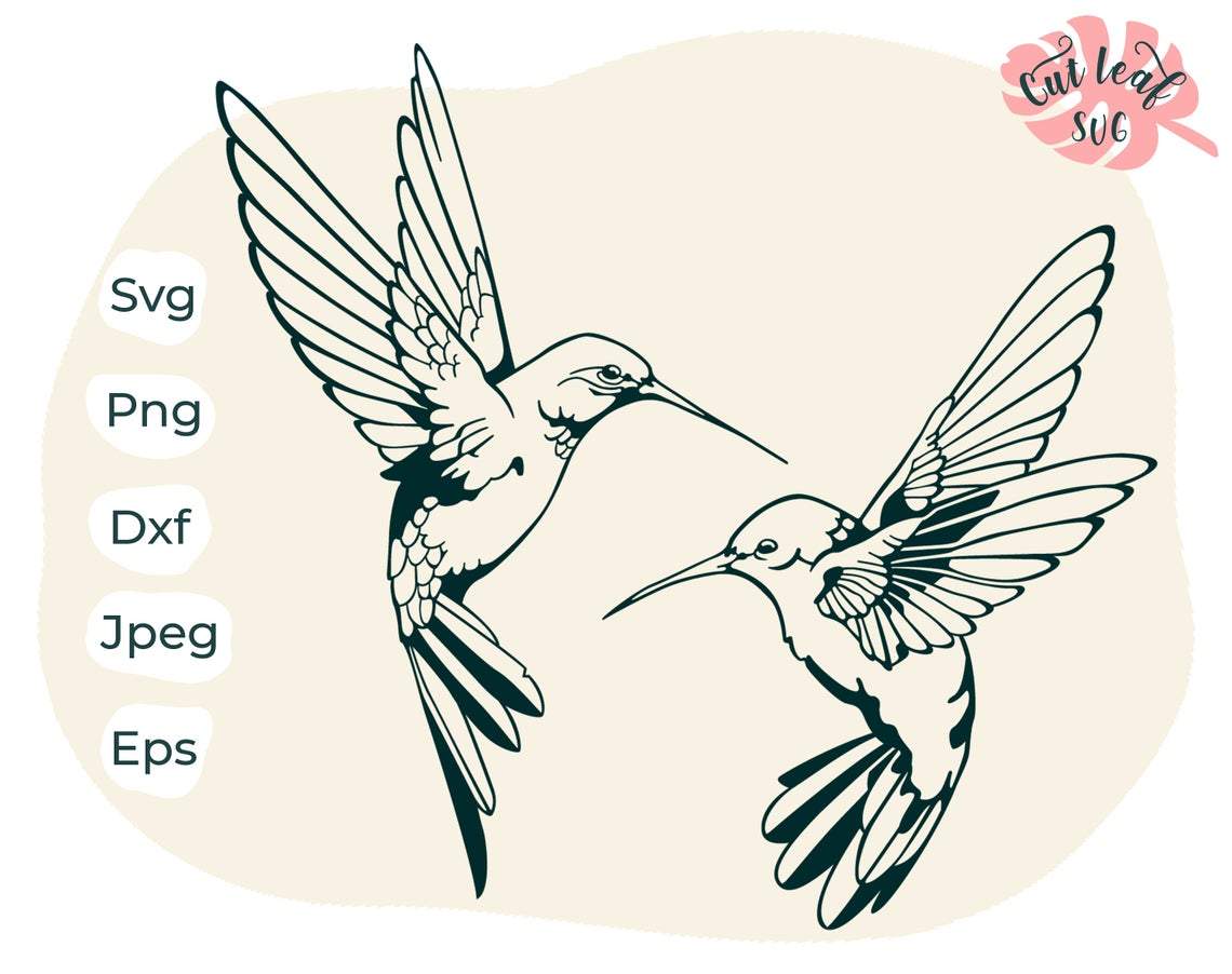 Free Free 309 Free Svg Hummingbird SVG PNG EPS DXF File