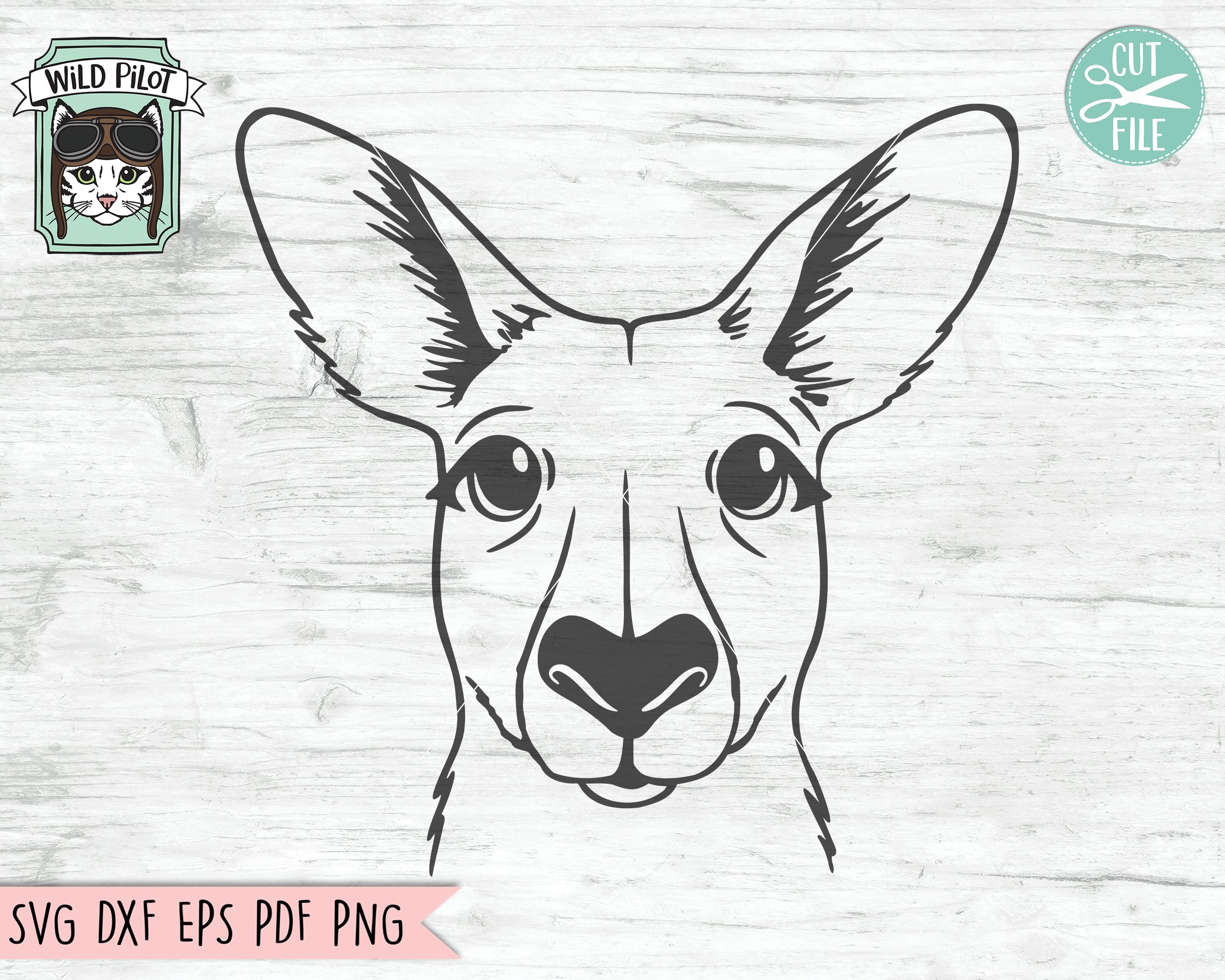 Download Animal Svg File Kangaroo Face Svg Australia Svg File Cute Kangaroo Svg Animal Face Svg Cut File Kangaroo Cut File Kangaroo Svg File Art Collectibles Drawing Illustration Uco Uwb Edu Pl