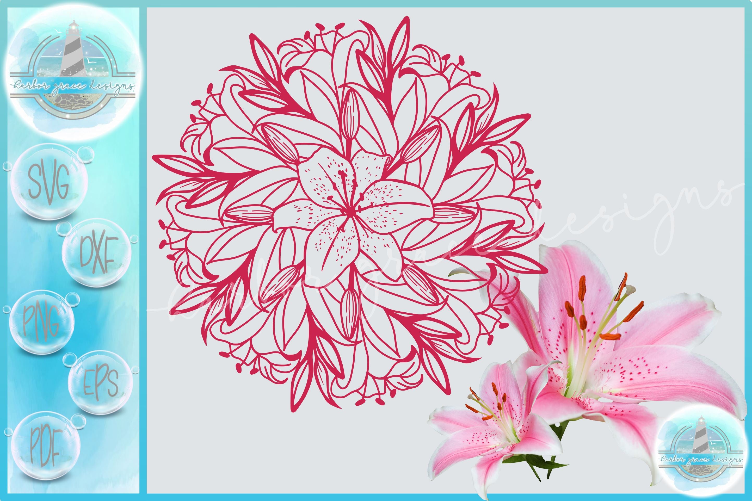 Free Free Lily Flower Svg Free SVG PNG EPS DXF File