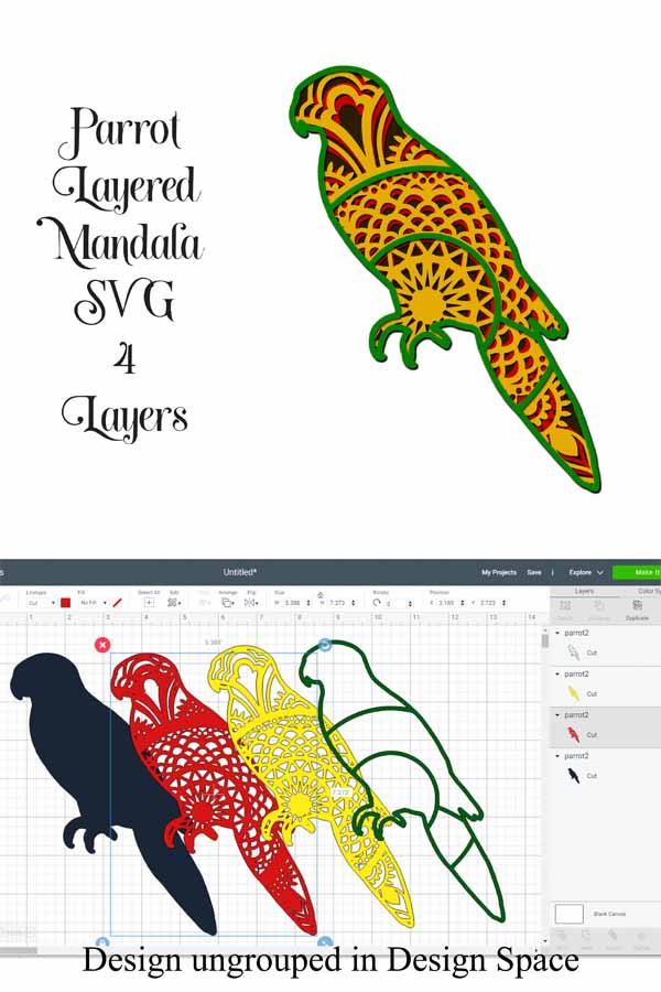 Download Parrot Mandala Layered SVG File Tropical Bird - So Fontsy