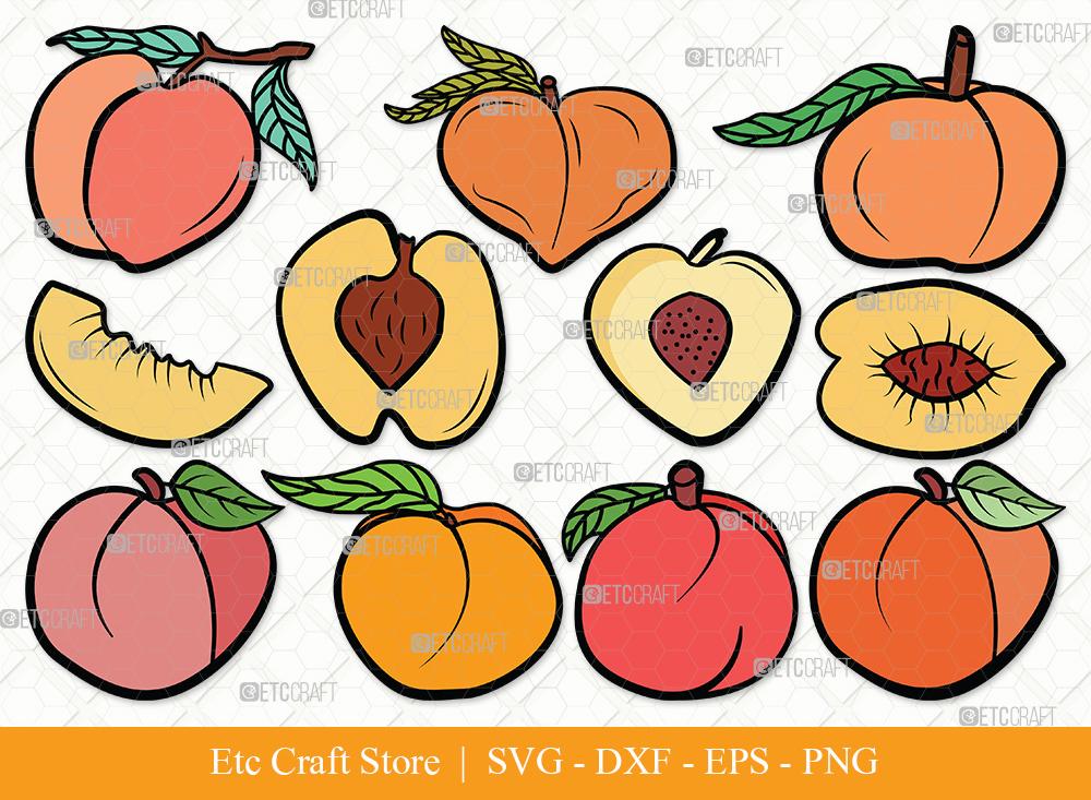 Download Peach Fruit Clipart Svg Cut File Peach Svg Fruit Svg Peach Slice Svg Peach Bundle Summer Svg Eps Dxf Png So Fontsy