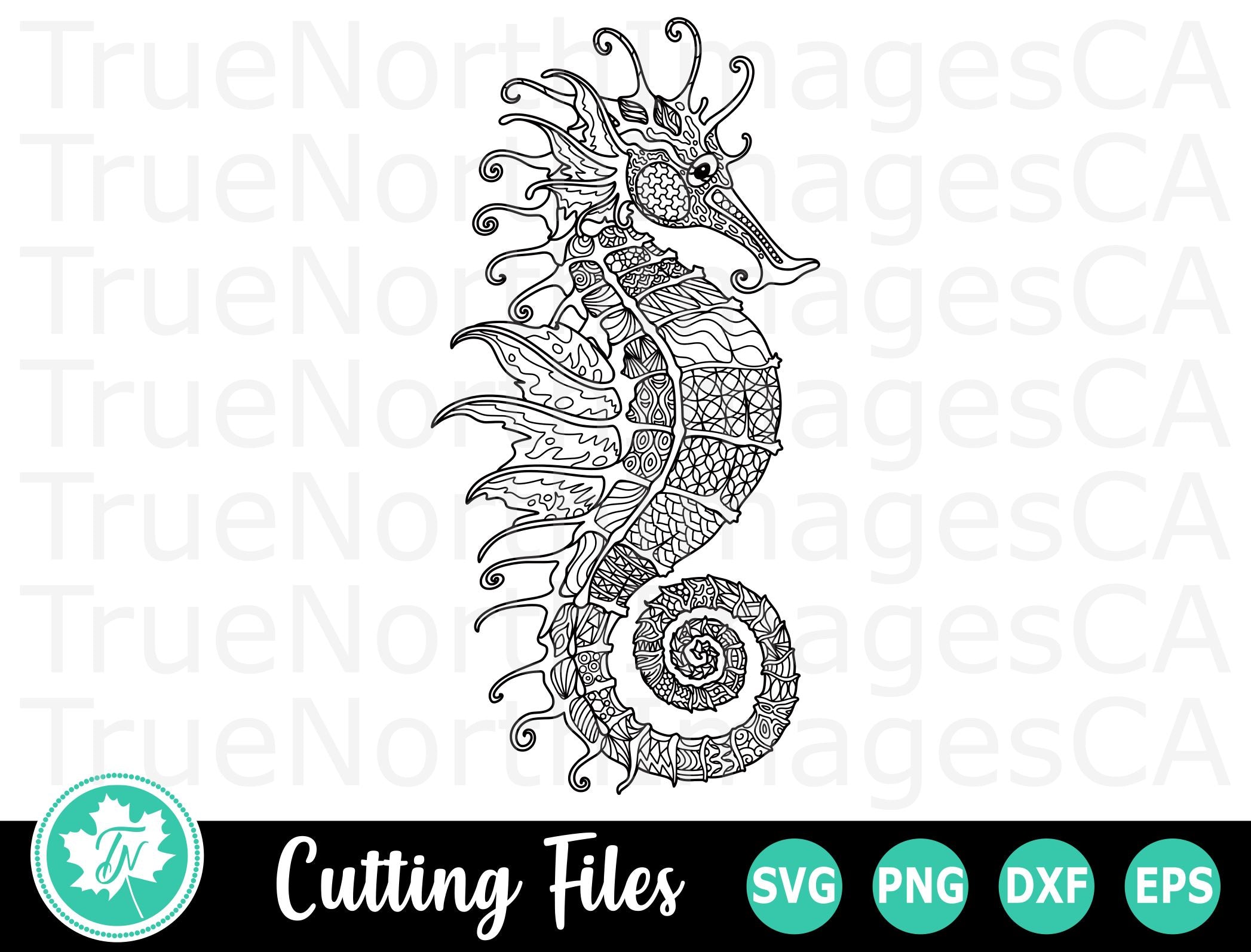 Seahorse Svg Zentangle Svg Mandala Svg So Fontsy