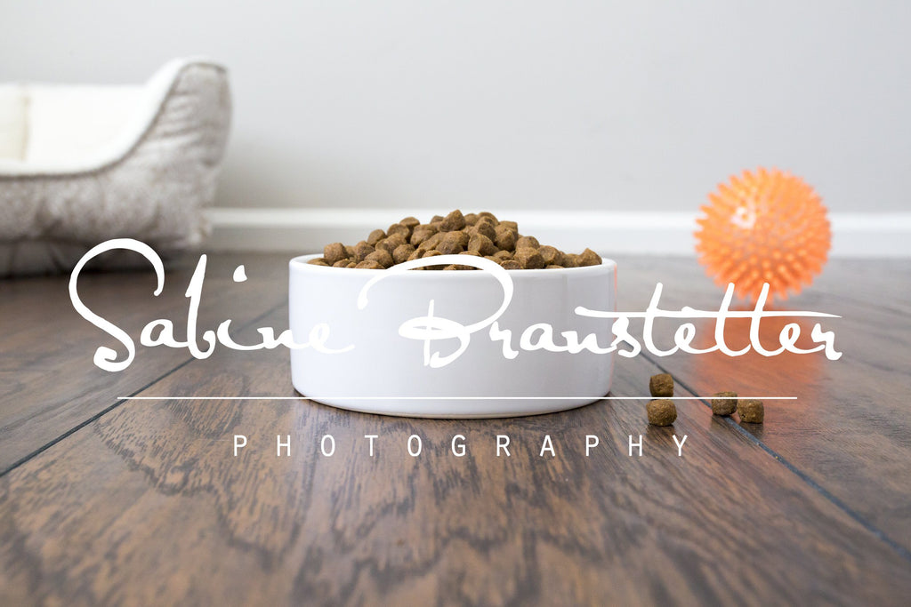 Download Styled Stock Photography "Fluffy" Mockup-Digital File White Pet Bowl Mock Up - So Fontsy