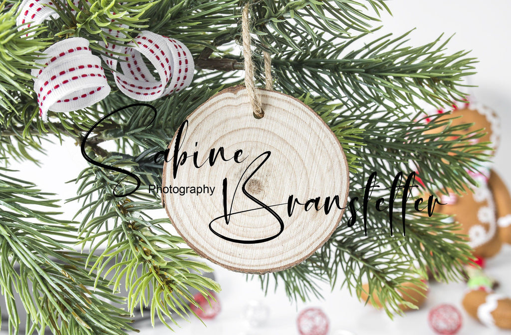 Download Products Tagged Disk Ornament Mockup So Fontsy