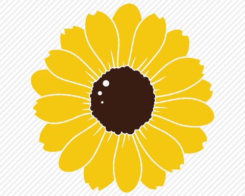 Download Sunflower Bundle Country Svg So Fontsy