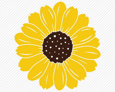 Download Sunflower Bundle Country Svg So Fontsy