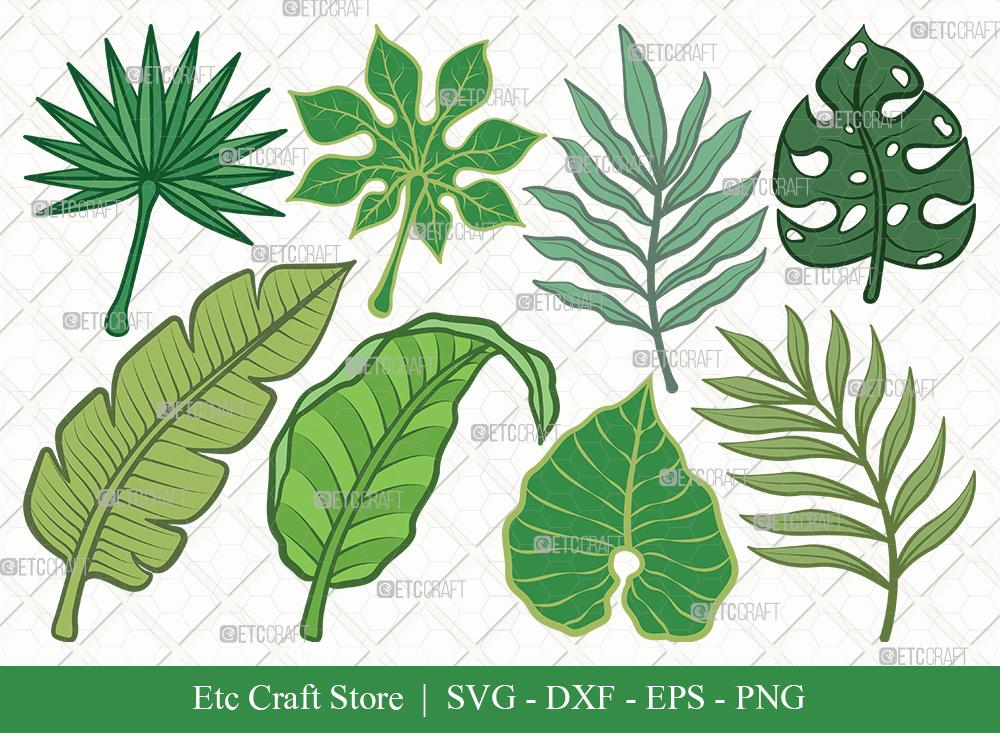 Download Tropical Leaf Clipart Svg Cut Files Tropical Leaves Svg Monstera Leaf Svg Palm Leaf Vector Cutting Files Eps Dxf Png So Fontsy