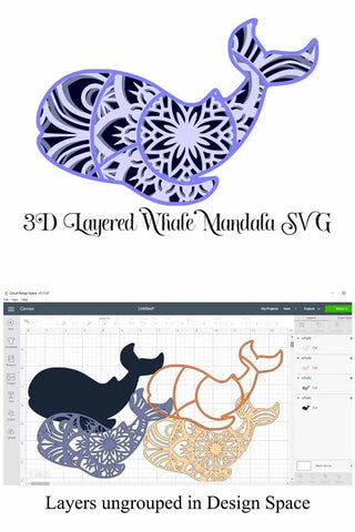 Whale Mandala Layered Svg File 4 Layers So Fontsy