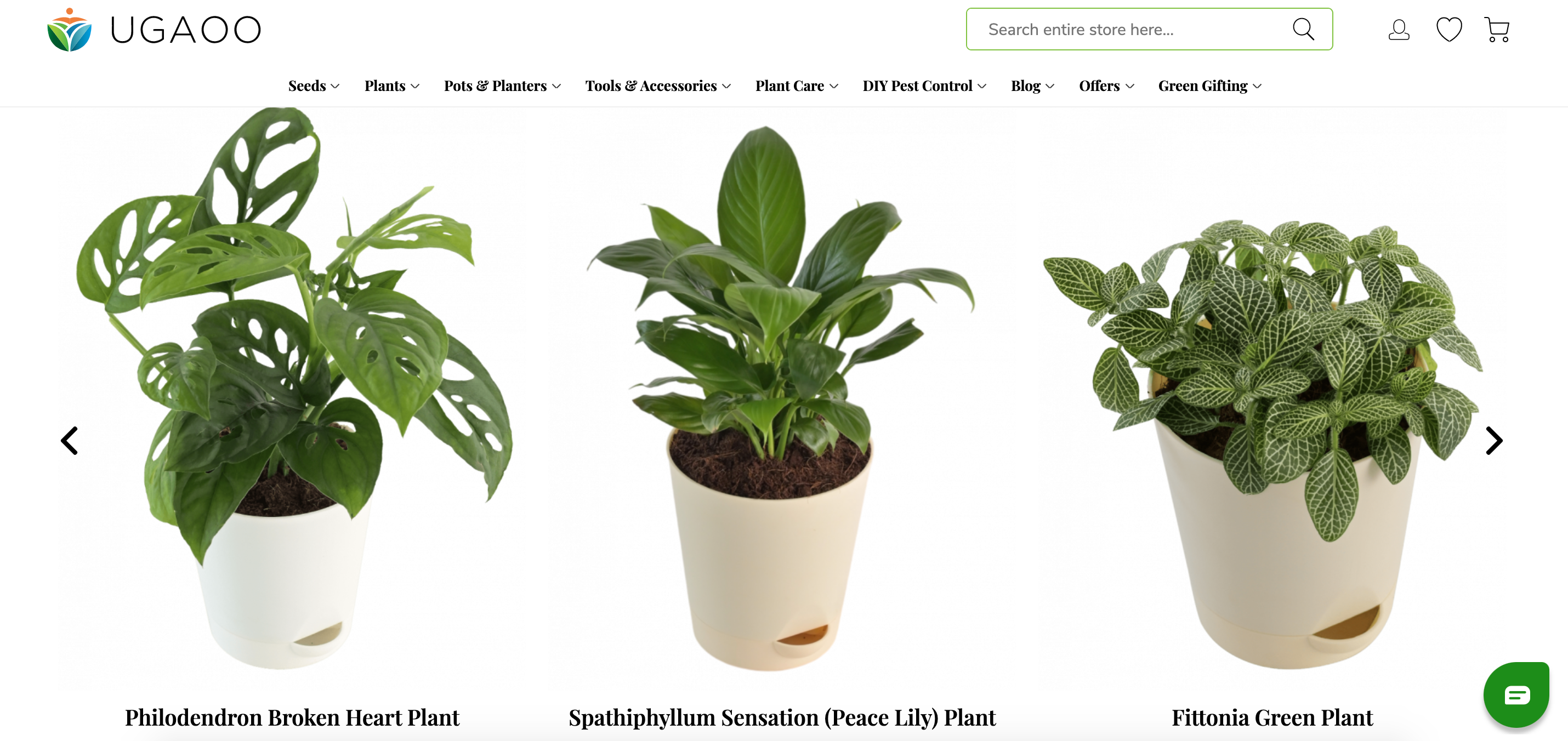 sell plants online 