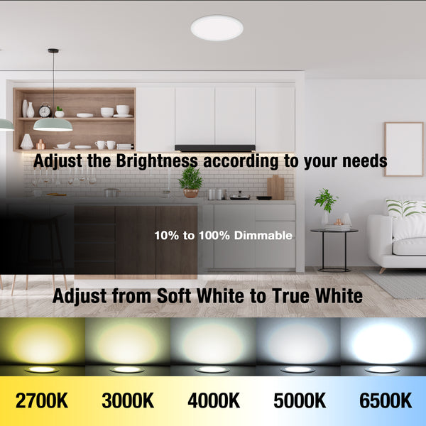 QPlus 11Inch Smart Flat Flush Mount (WiFi - No Hub) - Dimmable, 16 Million Colors & Tunable White 2700K to 6500K Color Temperature Dimmable