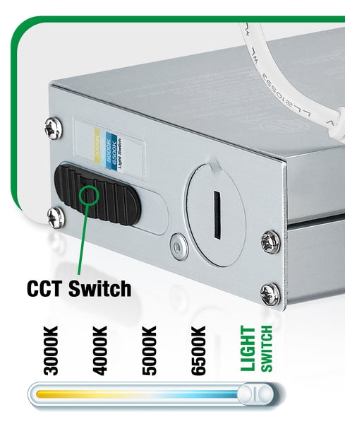 Qplus 4CS