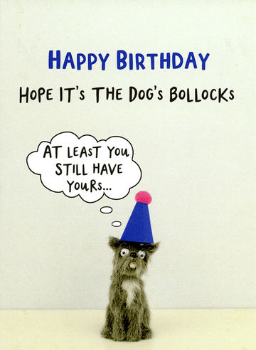 Birthday Card Bold & Bright Birthday - Dog's Bollocks Comedy Card Company