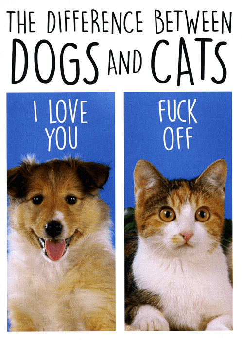 funny dogs and cats with captions