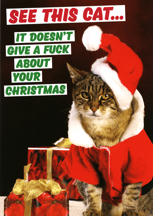 Rude Christmas Cards - Cat - Doesn't Give A Fuck About Your Christmas