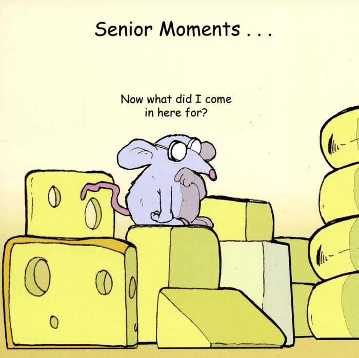 senior moments