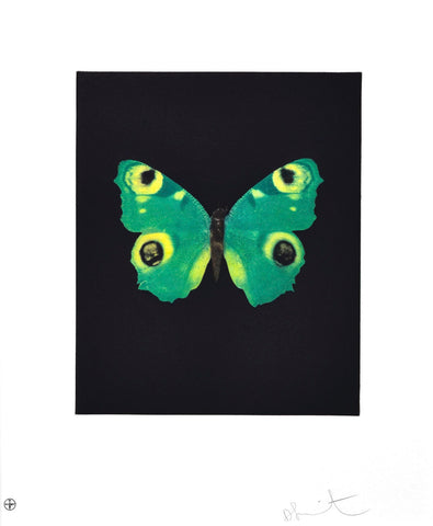 Damien Hirst 