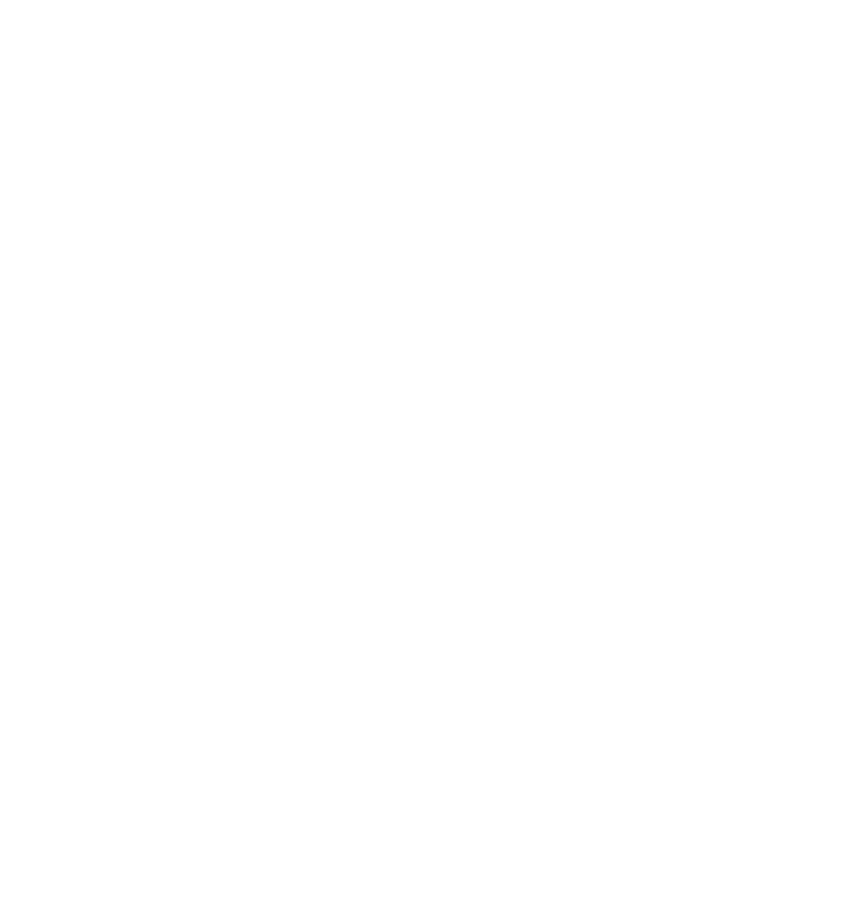 Duster Logo