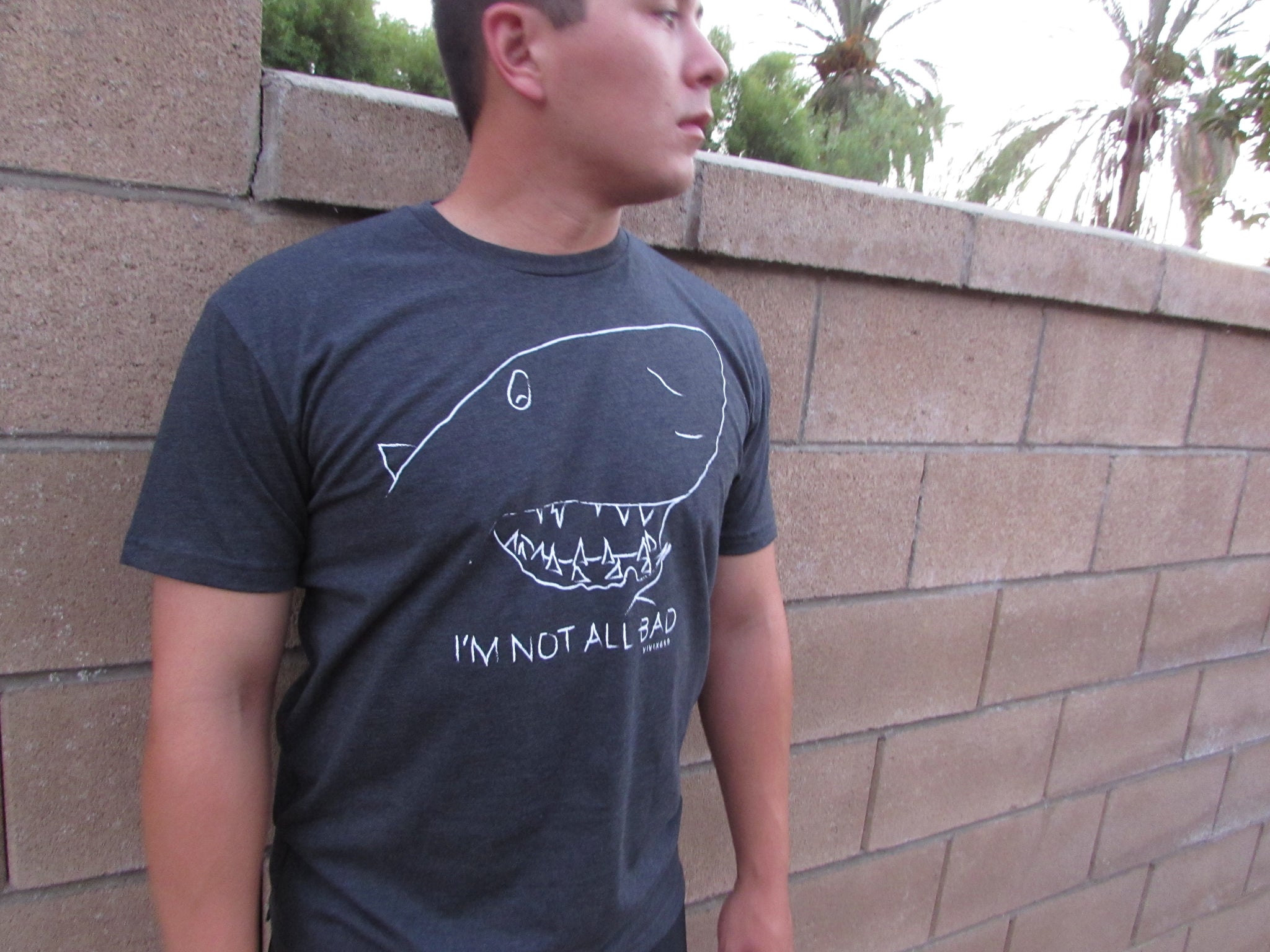 Steve Tee Shirt