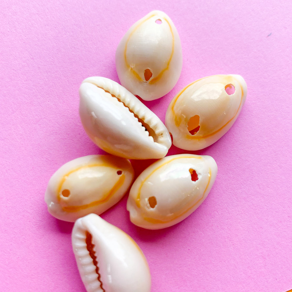 50 Pcs, 12-15mm Bulk Cut Sea Shell Cowrie Cowry Beads Brown at Rs 65.00, Natural Seashell