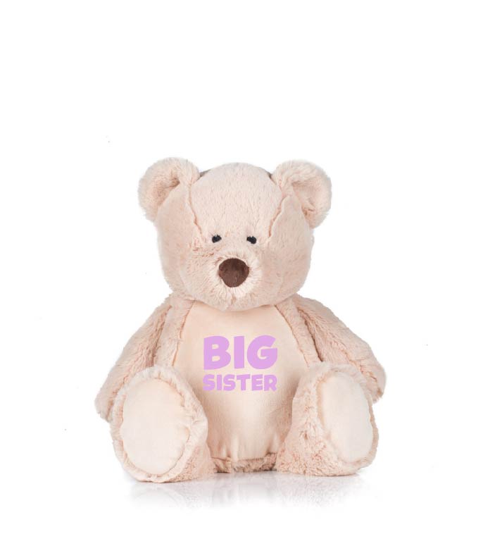 personalised big sister teddy