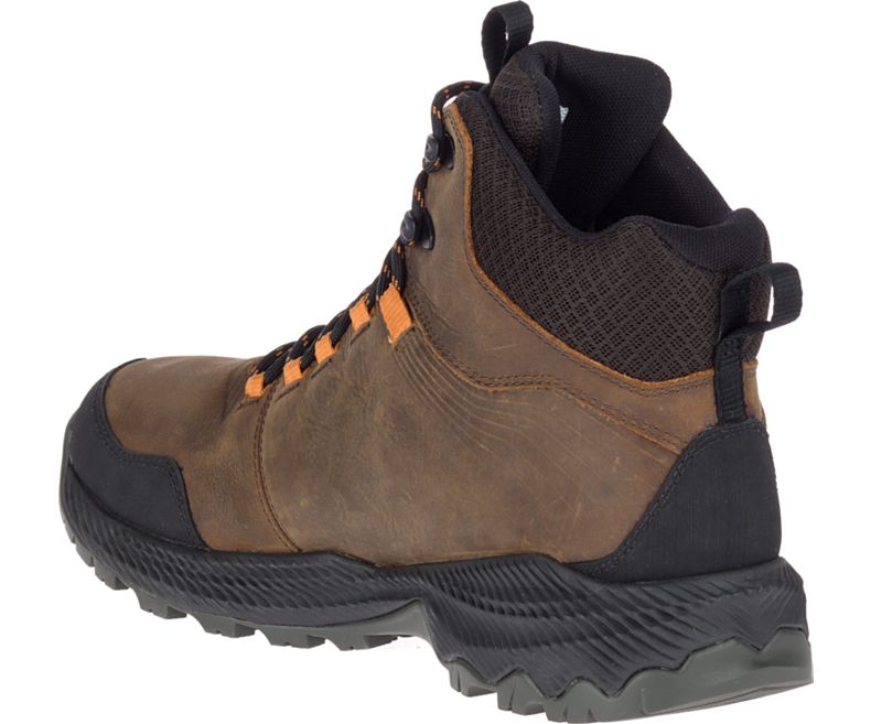 forestbound merrell