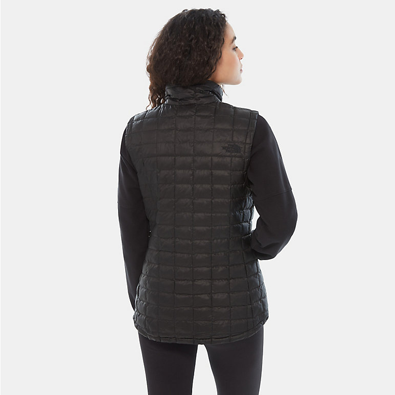 The North Face Women's Cragmont Fleece Vest - PRFO Sports