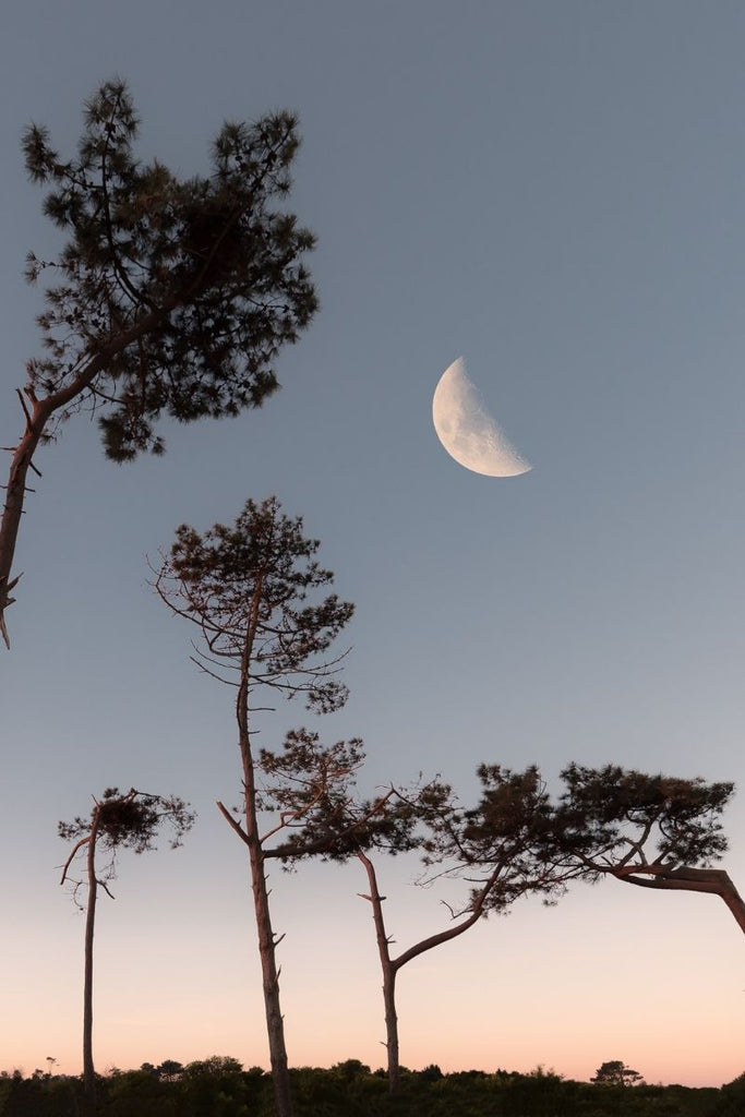 lunar phases energy baths