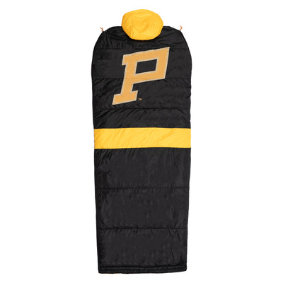 Penguins Go with Pirates-like 'P' Logo For Winter Classic